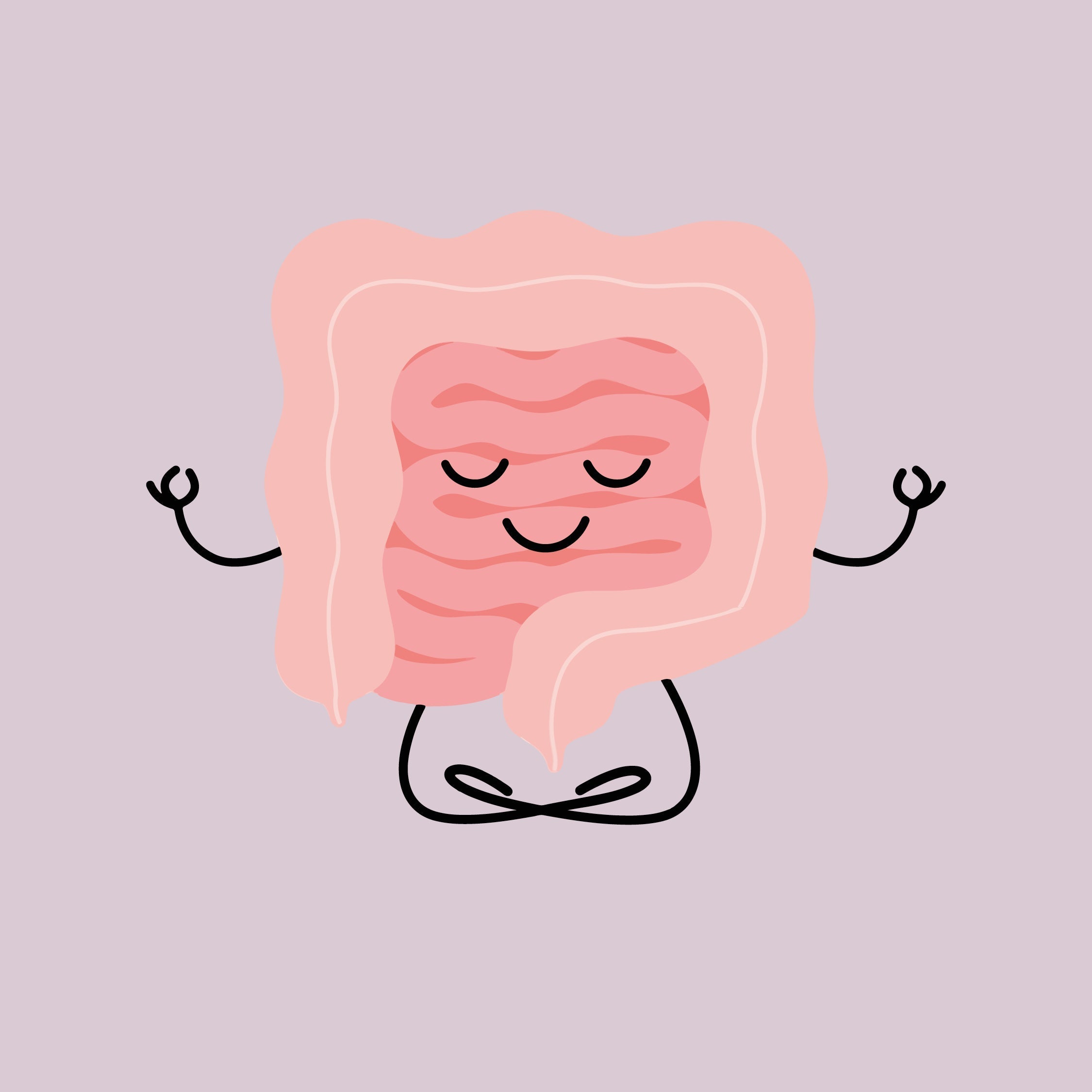 Gewicht verliezen begint bij een gezonde darmflora