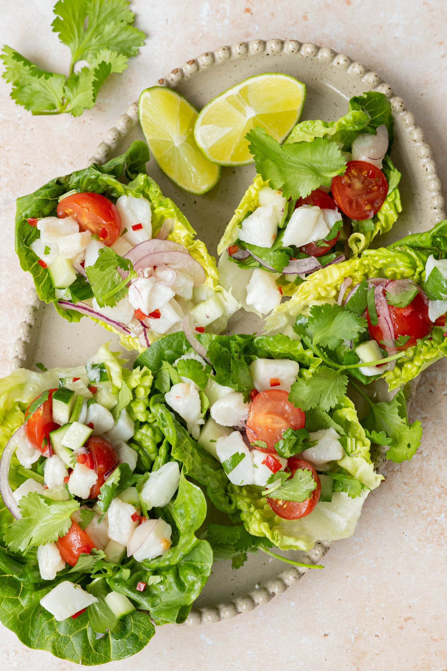 Ceviche-slaschuitjes